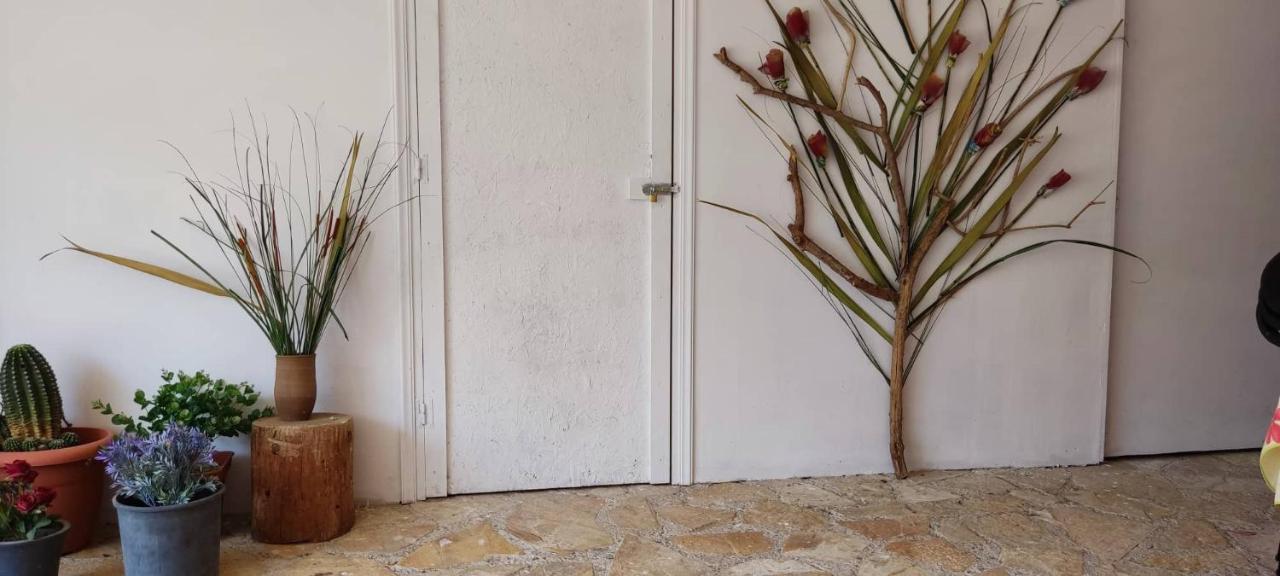 Rodi House Apartment Nafplio Bagian luar foto